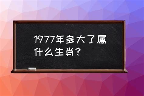 1977年属什么